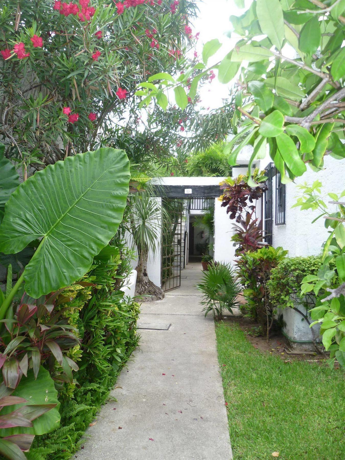 Hostal Haina Cancun Exterior photo