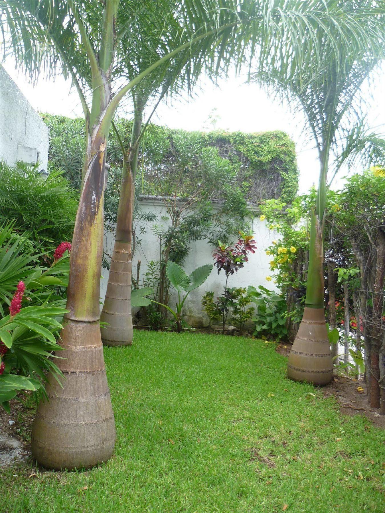 Hostal Haina Cancun Exterior photo
